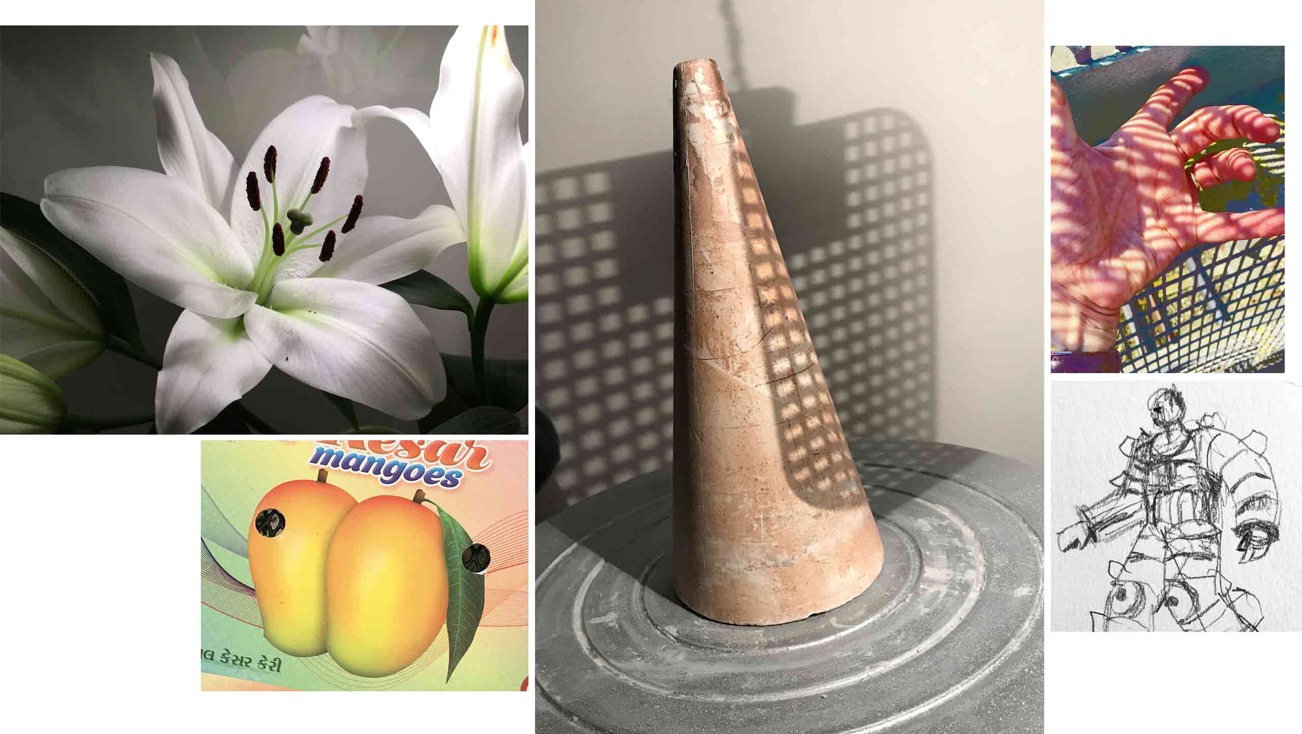 A collage of inspirational images: Shadows on a plaster cone, White lilies, Mango packaging, A hand in front of a grid, an irregular shaped hole with household objects behind