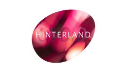 Hinterland logo variant 9 for Ovoid studio / project space / gallery in Ovingdean near Brighton. An egg shape angled at about 30 degrees with the word 'Ovoid' horizontally across the middle but very feint with the word 'Hinterland' written over it in white.