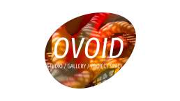 Ovoid logo variant 1 for Ovoid studio / project space / gallery in Ovingdean near Brighton. An egg shape angled at about 30 degrees with the word 'Ovoid' horizontally across the middle.